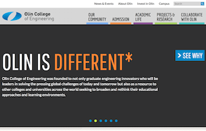Organization Website
