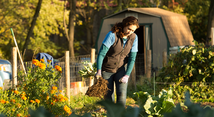 Bucknell Renews, Expands Commitment to Civic Engagement